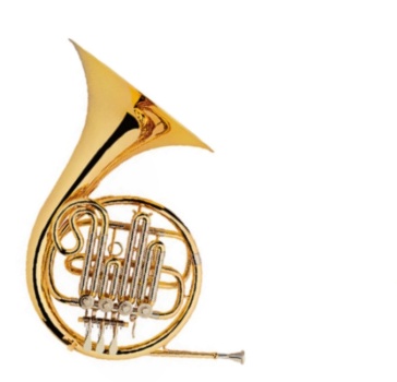 Concord Waldhorn (French Horn)